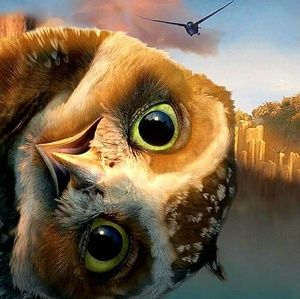 Meet your Posher, Humberto